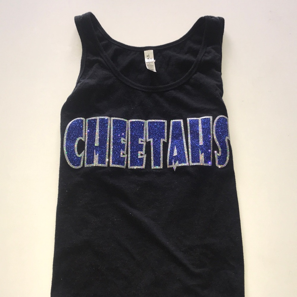 Cheetahs, 2017 champions league tanks